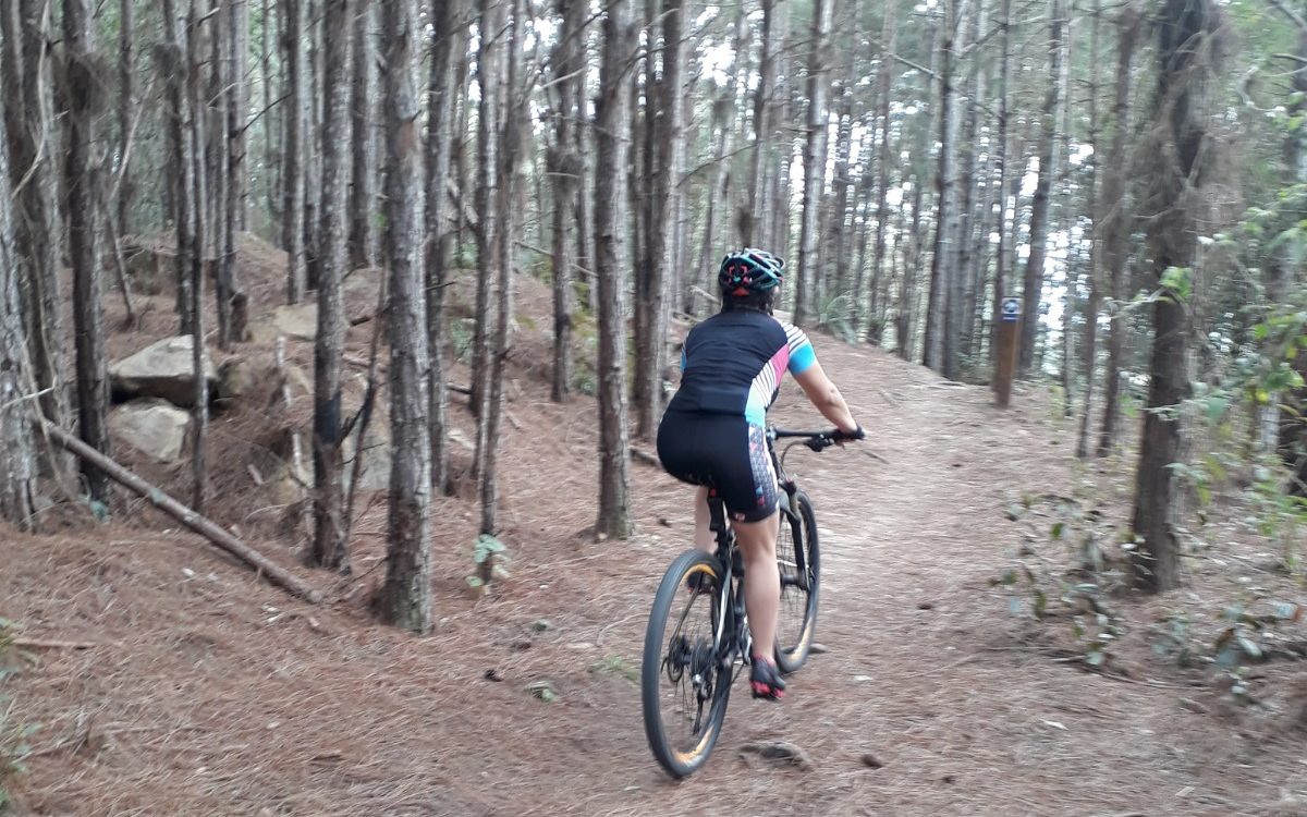 Aluguel de Bicicleta em Florianópolis