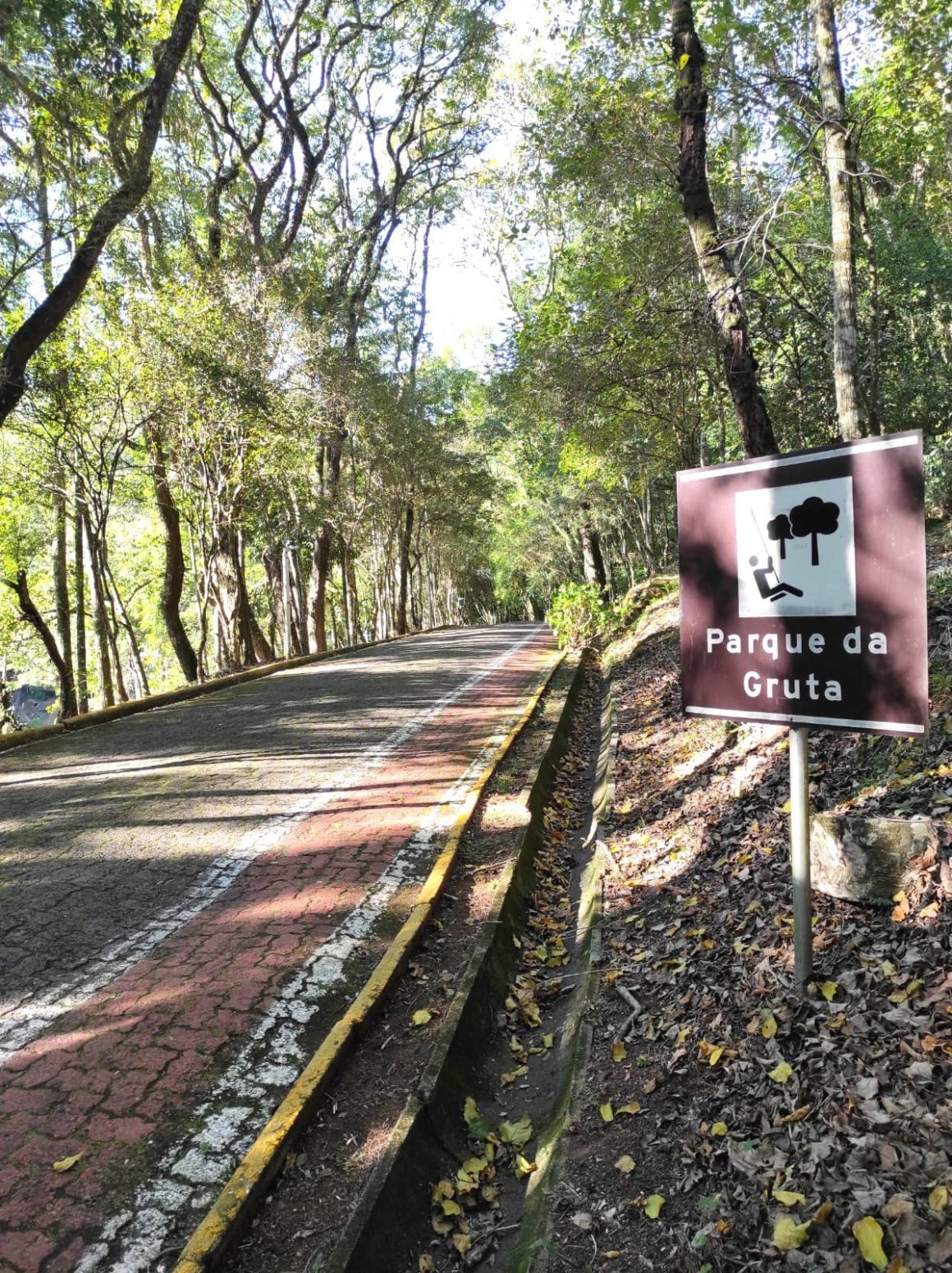 alugar bicicleta santa cruz do sul