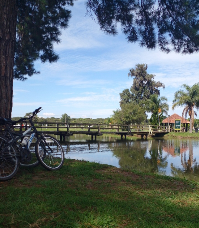 aluguel de bike em são josé dos pinhais